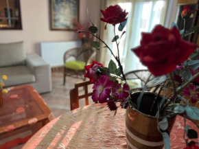 Dimi view home